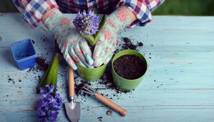 Evde yapılabilecek uğraşabileceğim hobiler neler? Ev hanımları ve erkekler için hobiler