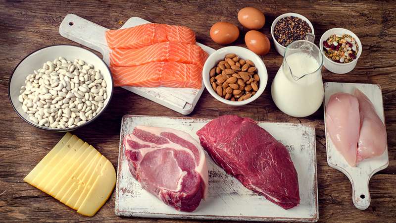 Yüksek proteinli düşük karbonhidratlı diyet planlarının faydaları