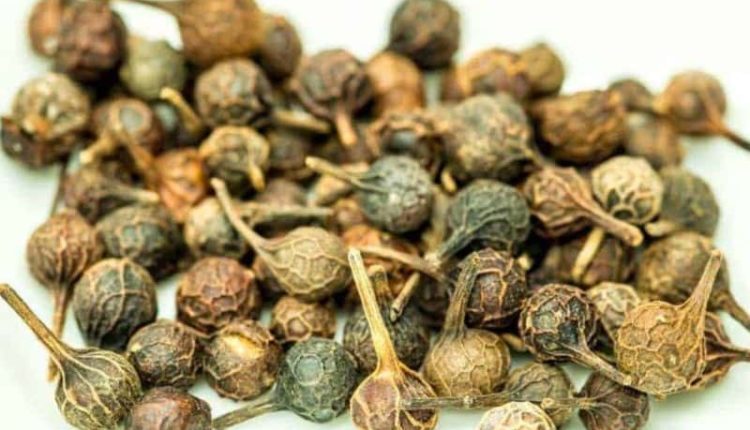Ses Kısıklığına Çare Olan Baharat Kebabe Otu
