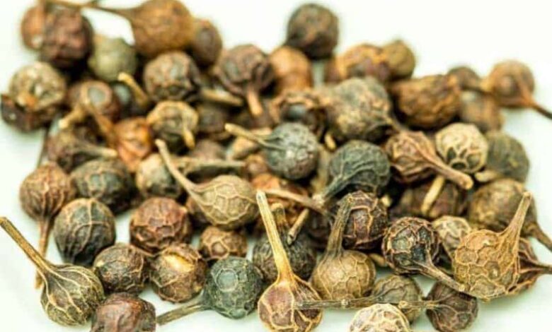 Ses Kısıklığına Çare Olan Baharat Kebabe Otu