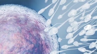 Koronavirus erkeklerde kısırlık neden oluyor!