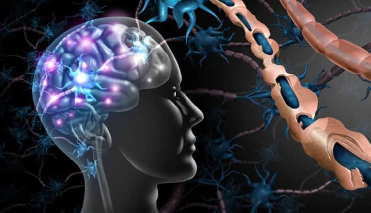Kök hücreler parkinson hastası farelerde hasarlı devreleri onardı