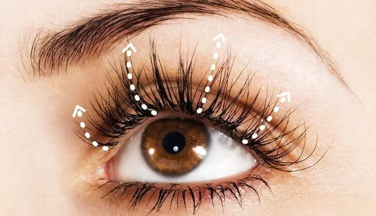 Zeytinyağı ile 8 günde kirpik uzatma gürleştirme nasıl yapılır?