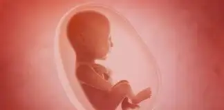 Embriyo gelişimi sırasında bağışıklık tepkileri şizofreni riskini artırıyor!