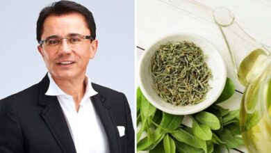 Dr. Ender Saraç'tan metabolizmayı hızlandıran, iştah kesen çay tarifi