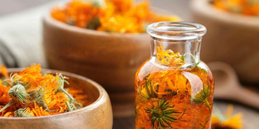 aynisefa yaginin cilde faydalari neler nasil kullanilir sha Aynısefa yağının cilde faydaları neler, nasıl kullanılır?