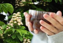 Antioksidan deposu kestane çiçeği çayı balından daha faydalı