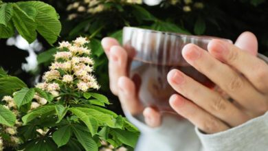 Antioksidan deposu kestane çiçeği çayı balından daha faydalı
