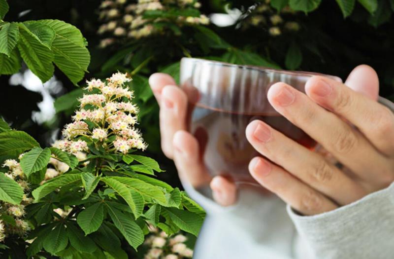 Antioksidan deposu kestane çiçeği çayı balından daha faydalı