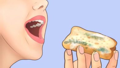 Küflü bir şey yersek ne olur? Küflü ekmek yenir mi?