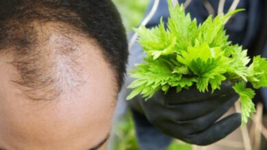 Saç dökülmesine karşı ısırgan otu ile doğal tedavi!