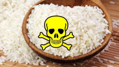 Sahte (Plastik) pirinç diye bir şey var mı?