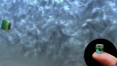 Hastalıklarla etkili mücadele için vücutta gezinen ‘Transformers’ tasarlandı