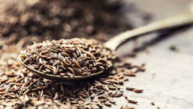 Kötü kolesterolün baş düşmanı mucize baharat!