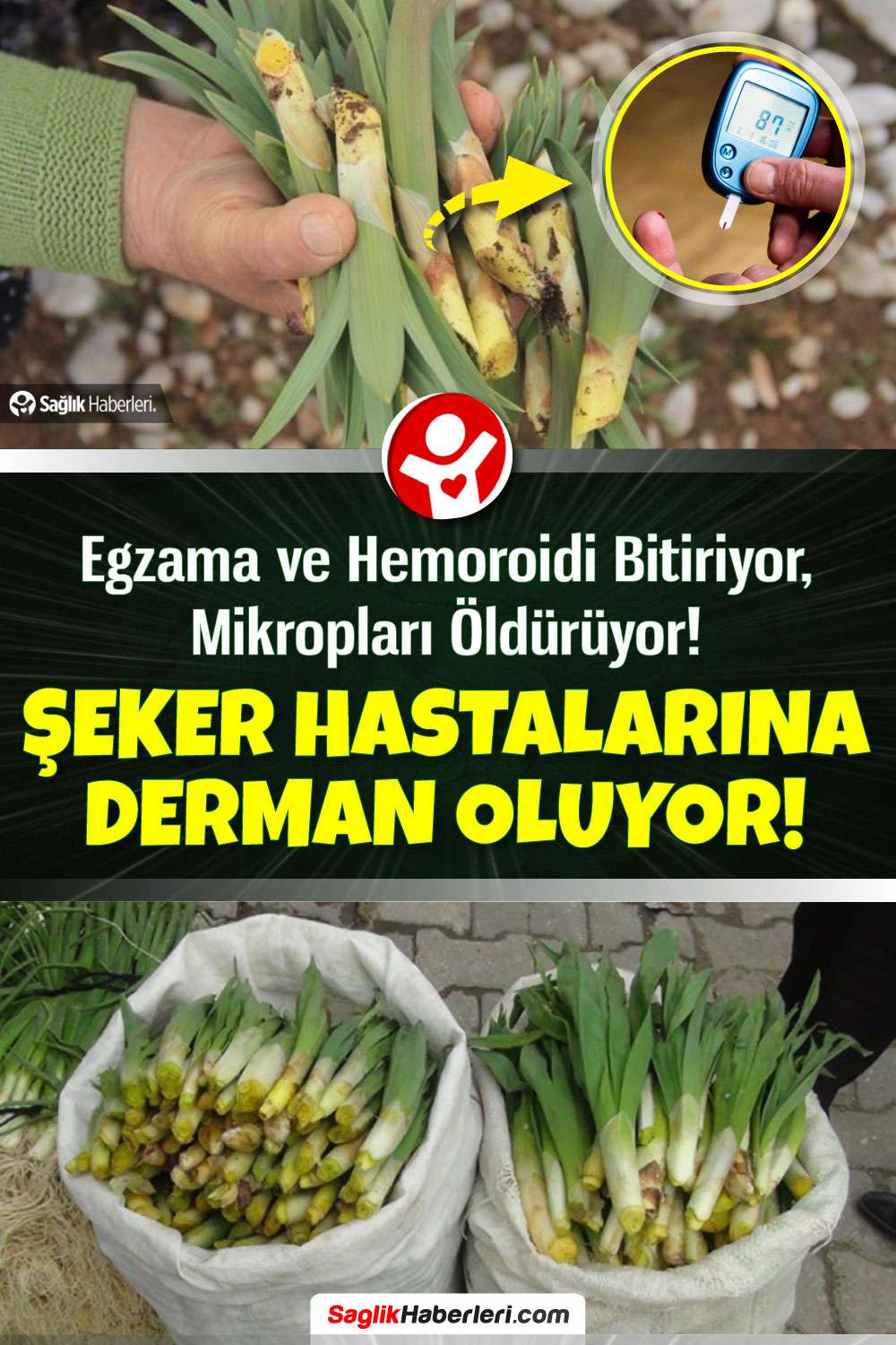 İlaç kadar faydalı bu şifalı bitkiyi doktorlar bile öneriyor!