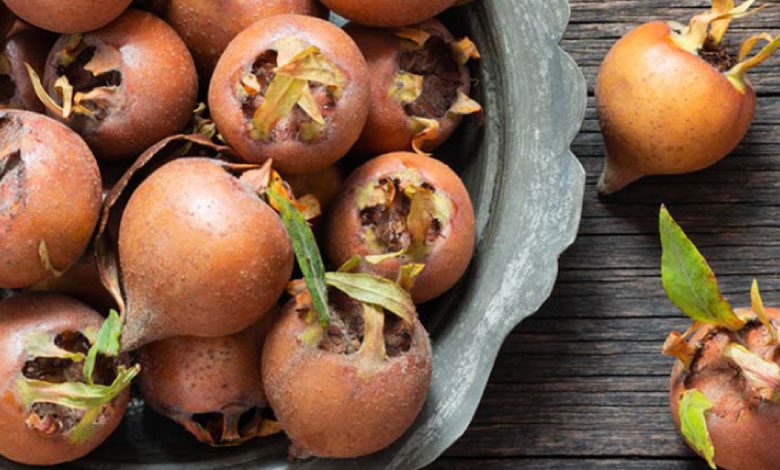 Muşmulanın faydaları nelerdir, nasıl yenir?