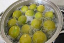 Kaynatın için ve 30 günde 10 kilo verin! 47 Kaynatın için ve 30 günde 10 kilo verin!