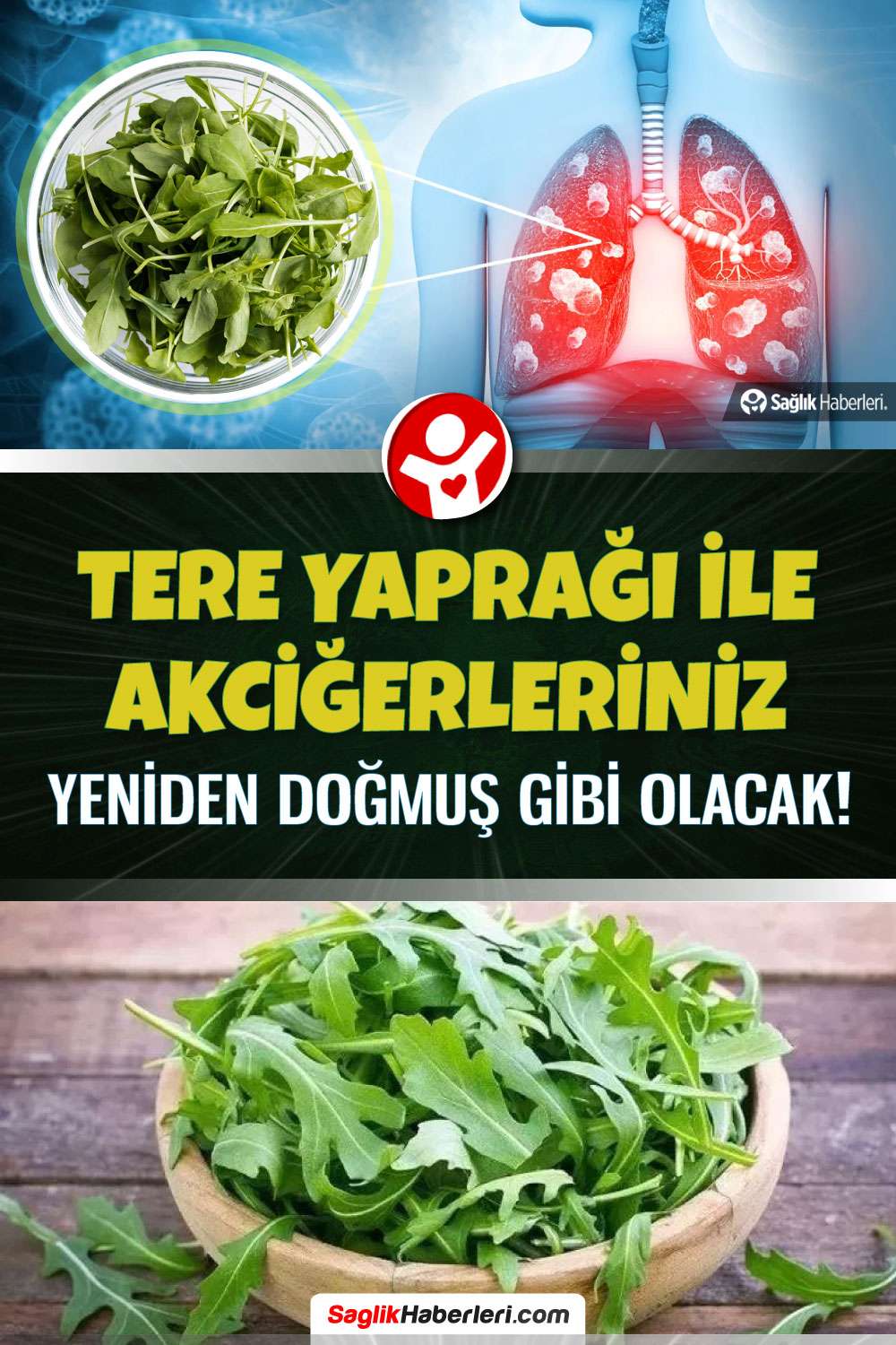 Terenin akciğere, cilde faydaları neler, hangi organa iyi gelir?