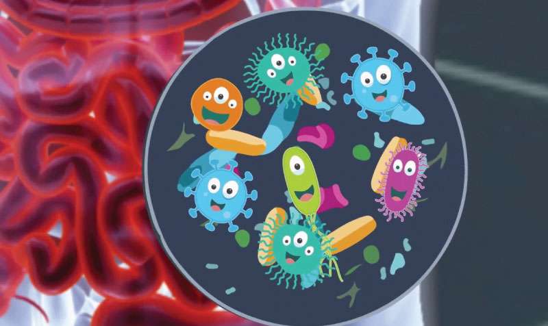 Bağırsakta Yararlı Bakterilerin Azalması Belirtileri Neler?