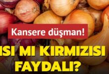 Kansere Düşman Sebze! Sarı Soğan mı Kırmızı Soğan mı Daha Faydalı?