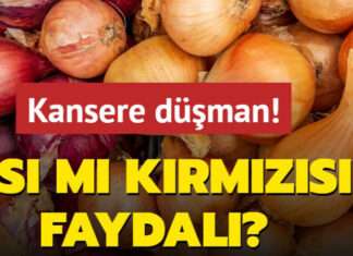 Kansere Düşman Sebze! Sarı Soğan mı Kırmızı Soğan mı Daha Faydalı?