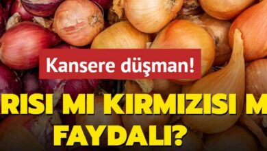 Kansere Düşman Sebze! Sarı Soğan mı Kırmızı Soğan mı Daha Faydalı?