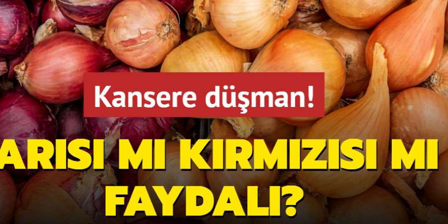 Kansere Düşman Sebze! Sarı Soğan mı Kırmızı Soğan mı Daha Faydalı?