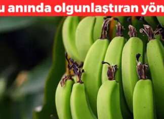 Muzun Olgunlaşmasını Hızlandıran Basit Yöntem! İşte Pratik Çözüm