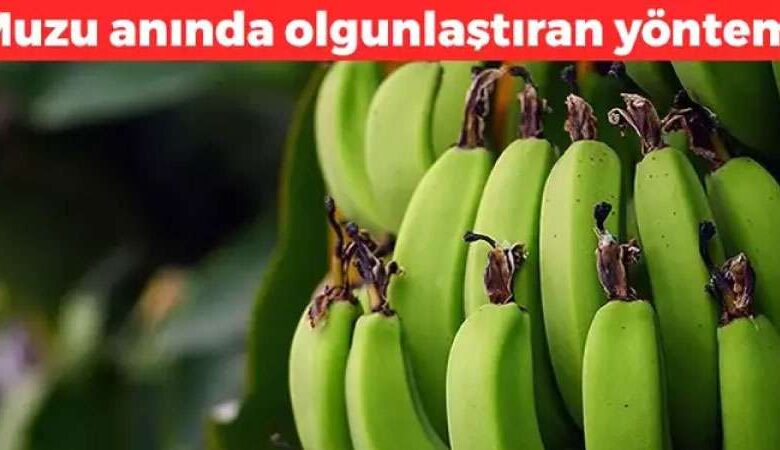 Muzun Olgunlaşmasını Hızlandıran Basit Yöntem! İşte Pratik Çözüm