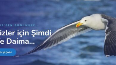 Tercüme Bürosu - Çeviri Fiyatı