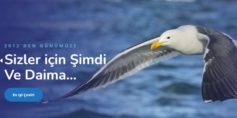 Tercüme Bürosu - Çeviri Fiyatı