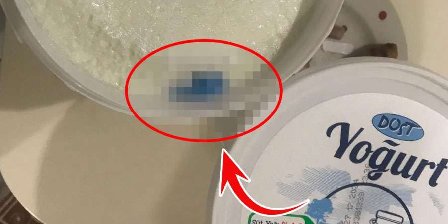 BİM'in Yoğurdundan Çıkan Şok Edici Görüntü Sosyal Medyayı Salladı!