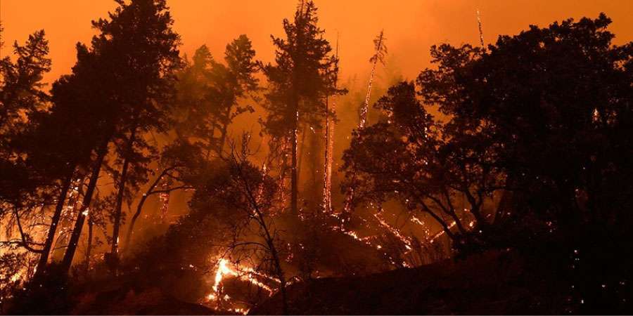 Türkiye Genelinde Orman Yangınları Mücadelesi Sürüyor: Ekipler Teyakkuzda