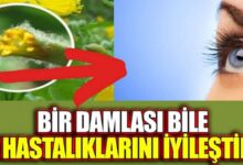 Kırlangıç otu ile göz sağlığınızı koruyun!