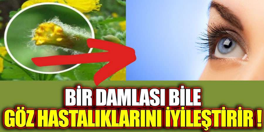 Kırlangıç otu ile göz sağlığınızı koruyun!