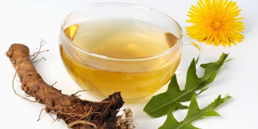 Kara Hindiba: Bahçenizdeki şifa hazinesi ve kanser araştırmalarındaki umut!