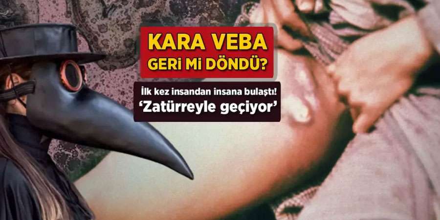 Veba Hastalığı Nedir? Nedenleri, Belirtileri ve Tedavi Yöntemleri