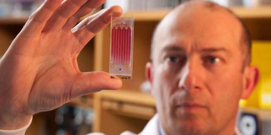 Kanserle Mücadelede Yeni Bir Çağ: Hataylı Bilim İnsanı Prof. Dr. Mehmet Toner'den Devrim Niteliğinde Buluş