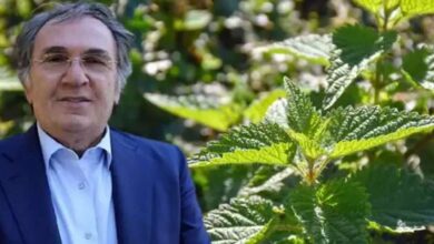 İbrahim Saraçoğlu'ndan Böbrekleri Kurtaran Mucize: Mısır Püskülü