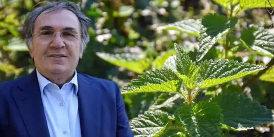 İbrahim Saraçoğlu'ndan Böbrekleri Kurtaran Mucize: Mısır Püskülü